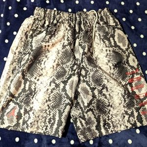 large Men's Jordan Swim Shorts